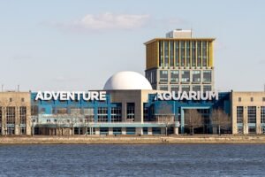 🐠 Adventure Aquarium Camden